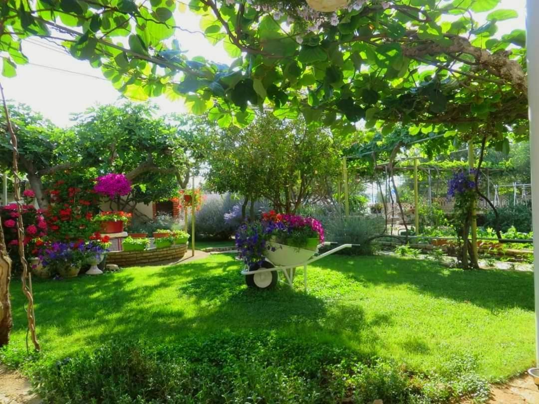 Beach Apartment Roza Biograd Oneroom - Premium Location Biograd Na Moru Luaran gambar