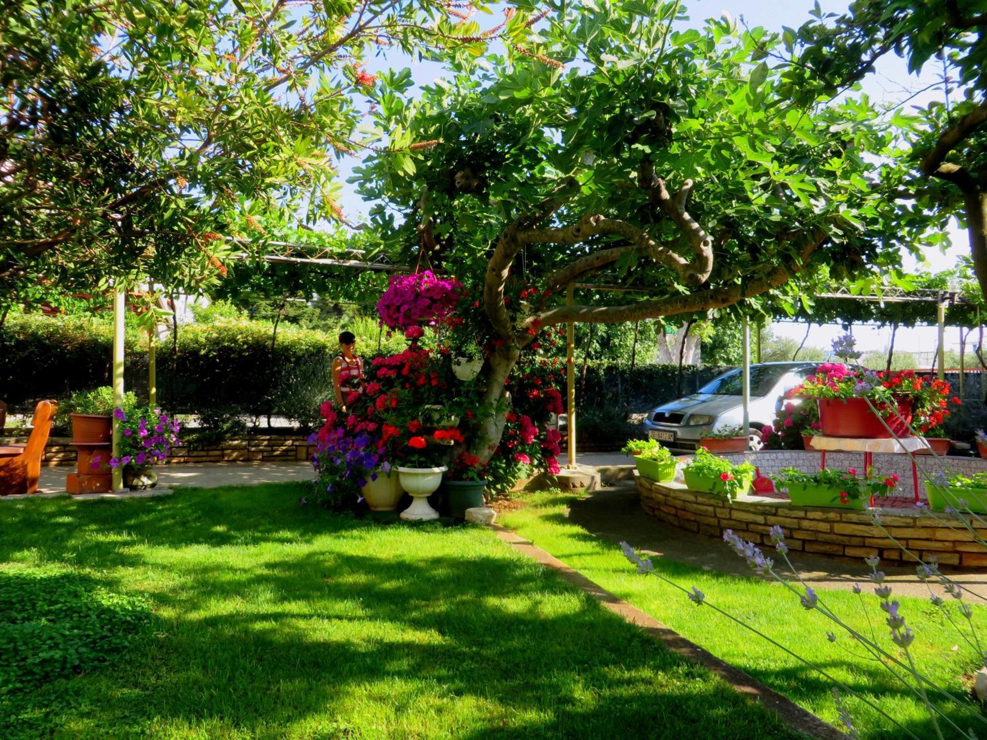 Beach Apartment Roza Biograd Oneroom - Premium Location Biograd Na Moru Luaran gambar